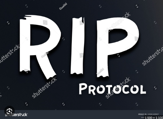 RIP Protokolü