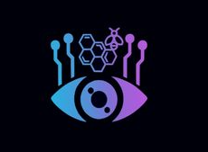 [EN] A Honeypot Research